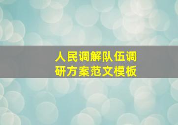 人民调解队伍调研方案范文模板