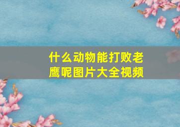 什么动物能打败老鹰呢图片大全视频