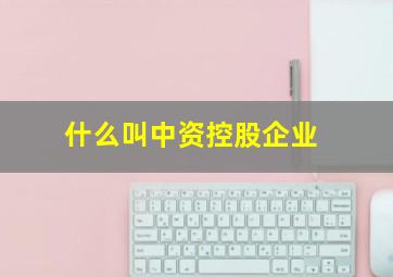 什么叫中资控股企业