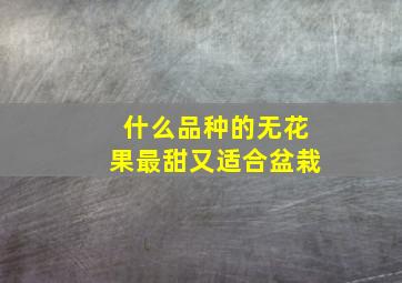 什么品种的无花果最甜又适合盆栽