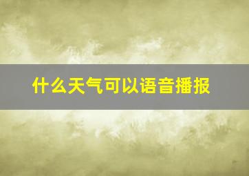 什么天气可以语音播报