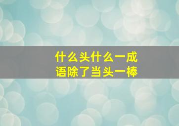 什么头什么一成语除了当头一棒