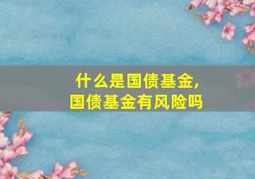 什么是国债基金,国债基金有风险吗