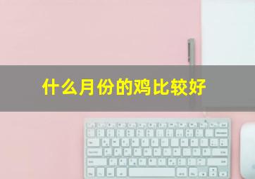 什么月份的鸡比较好