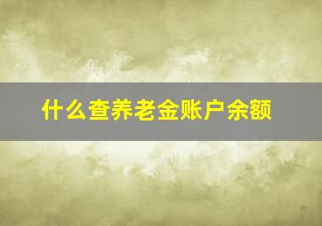 什么查养老金账户余额