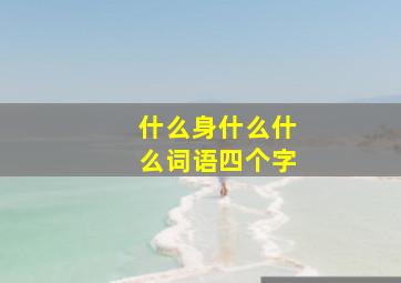 什么身什么什么词语四个字