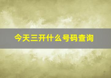 今天三开什么号码查询