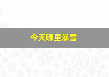 今天哪里暴雪