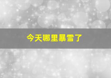 今天哪里暴雪了