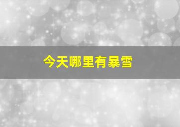 今天哪里有暴雪