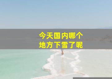 今天国内哪个地方下雪了呢