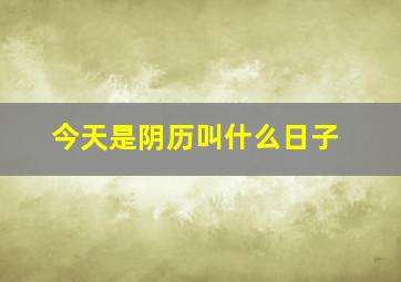 今天是阴历叫什么日子