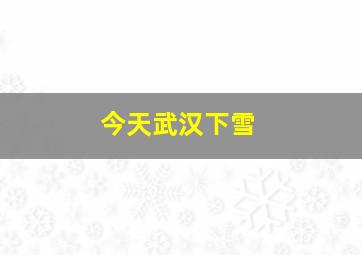 今天武汉下雪