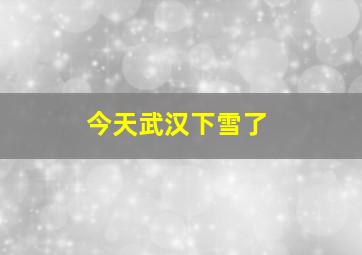 今天武汉下雪了