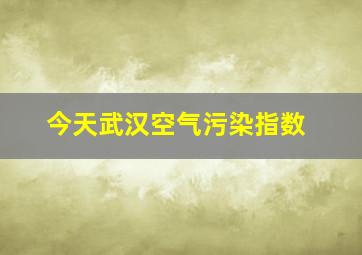 今天武汉空气污染指数