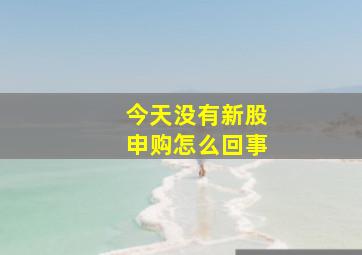 今天没有新股申购怎么回事