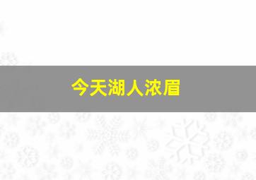 今天湖人浓眉