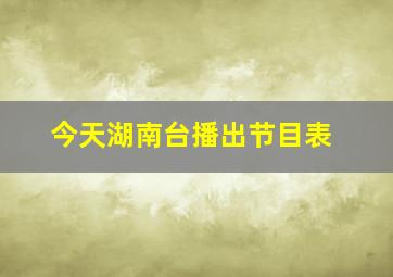 今天湖南台播出节目表