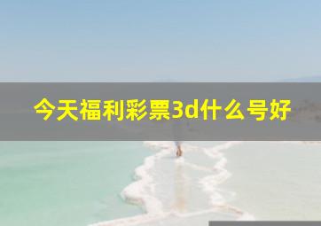 今天福利彩票3d什么号好