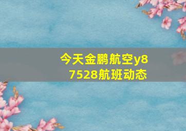 今天金鹏航空y87528航班动态