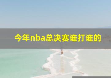 今年nba总决赛谁打谁的