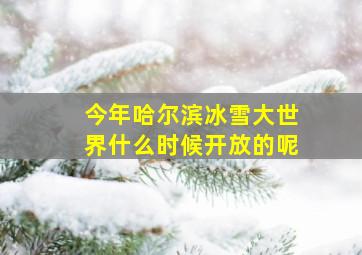 今年哈尔滨冰雪大世界什么时候开放的呢