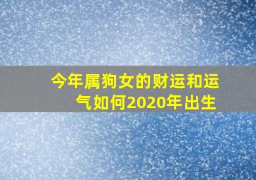 今年属狗女的财运和运气如何2020年出生