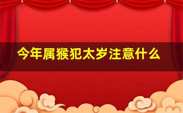 今年属猴犯太岁注意什么