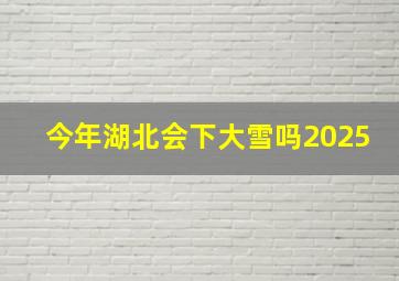 今年湖北会下大雪吗2025