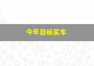 今年目标买车