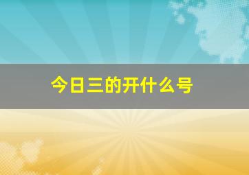 今日三的开什么号