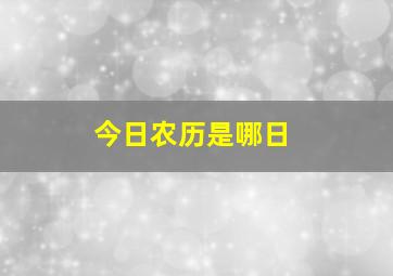 今日农历是哪日