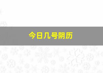 今日几号阴历