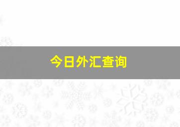 今日外汇查询