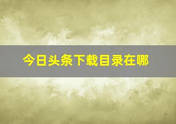 今日头条下载目录在哪