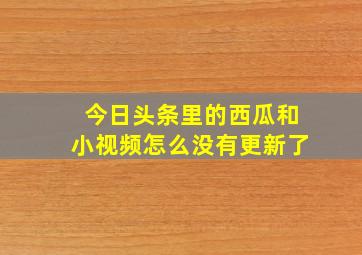 今日头条里的西瓜和小视频怎么没有更新了