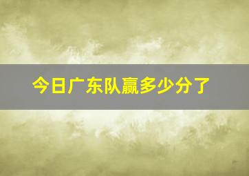 今日广东队赢多少分了