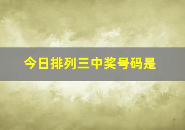 今日排列三中奖号码是