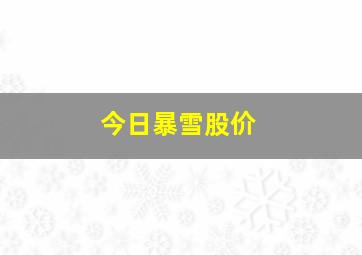 今日暴雪股价