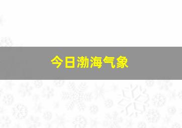 今日渤海气象