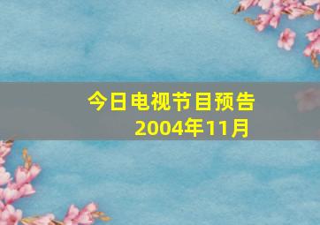 今日电视节目预告2004年11月