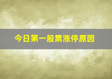 今日第一股票涨停原因