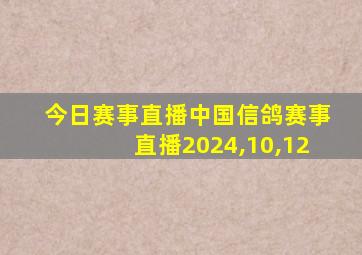 今日赛事直播中国信鸽赛事直播2024,10,12