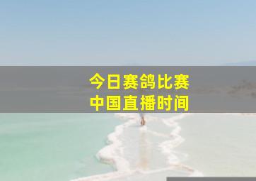 今日赛鸽比赛中国直播时间