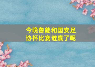 今晚鲁能和国安足协杯比赛谁赢了呢