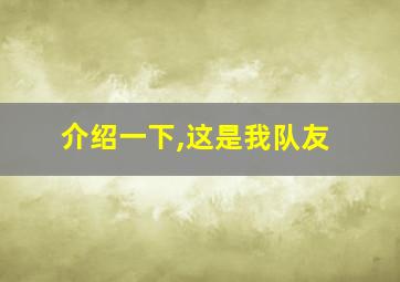 介绍一下,这是我队友