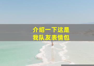 介绍一下这是我队友表情包