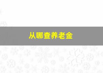 从哪查养老金