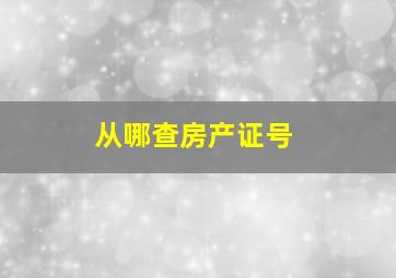 从哪查房产证号