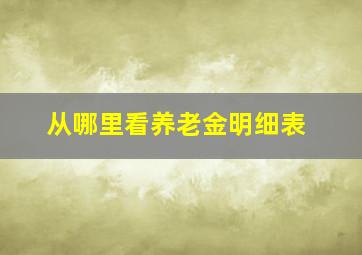 从哪里看养老金明细表